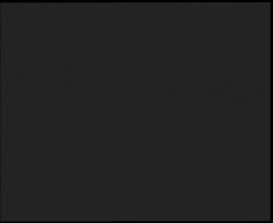 Nástup na běžecké tratě