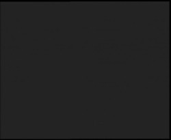 Nástup na běžecké tratě