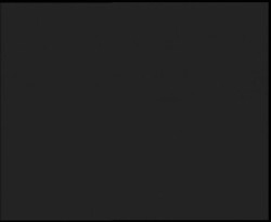 Nástup na běžecké tratě