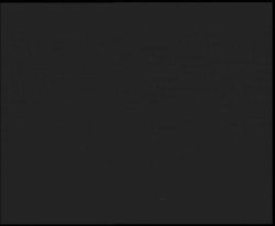 Nástup na běžecké tratě