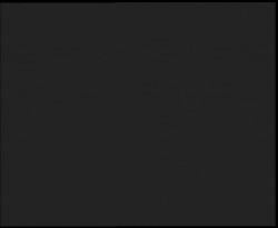 Nástup na běžecké tratě