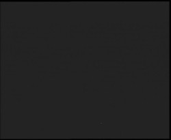 Nástup na běžecké tratě