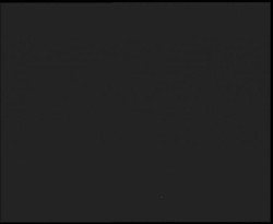 Nástup na běžecké tratě