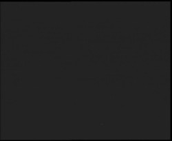 Nástup na běžecké tratě