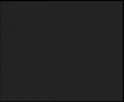 Nástup na běžecké tratě