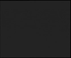 Nástup na běžecké tratě