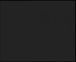 Nástup na běžecké tratě