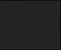 Nástup na běžecké tratě