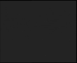 Nástup na běžecké tratě