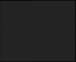 Nástup na běžecké tratě