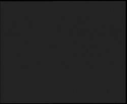 Nástup na běžecké tratě