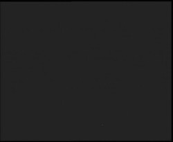 Nástup na běžecké tratě