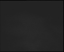 Nástup na běžecké tratě