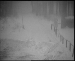 Nástup na běžecké tratě