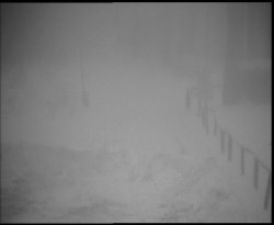 Nástup na běžecké tratě