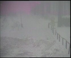 Nástup na běžecké tratě