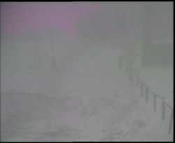 Nástup na běžecké tratě