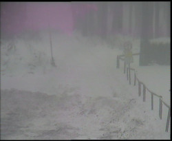 Nástup na běžecké tratě