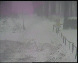 Nástup na běžecké tratě