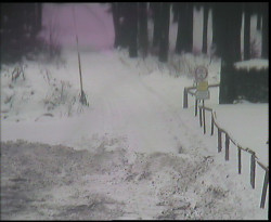 Nástup na běžecké tratě