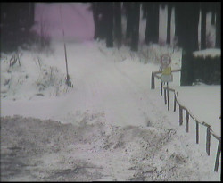 Nástup na běžecké tratě