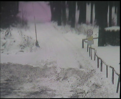 Nástup na běžecké tratě