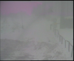 Nástup na běžecké tratě