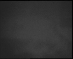 Nástup na běžecké tratě