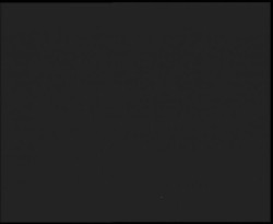 Nástup na běžecké tratě