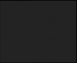 Nástup na běžecké tratě