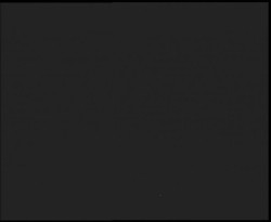 Nástup na běžecké tratě