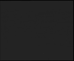 Nástup na běžecké tratě