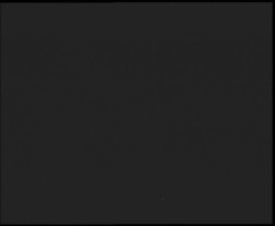 Nástup na běžecké tratě