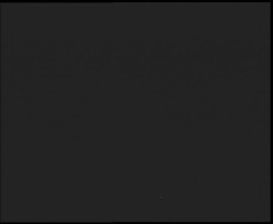 Nástup na běžecké tratě