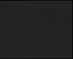 Nástup na běžecké tratě