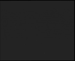 Nástup na běžecké tratě