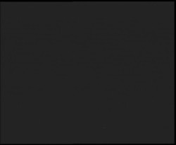 Nástup na běžecké tratě