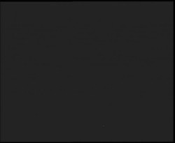 Nástup na běžecké tratě