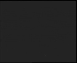 Nástup na běžecké tratě