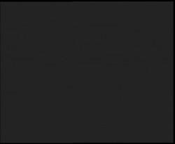 Nástup na běžecké tratě