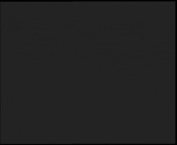 Nástup na běžecké tratě