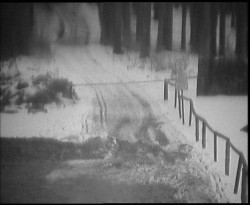 Nástup na běžecké tratě