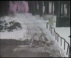 Nástup na běžecké tratě