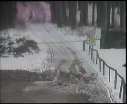 Nástup na běžecké tratě