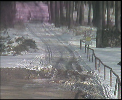 Nástup na běžecké tratě