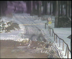 Nástup na běžecké tratě