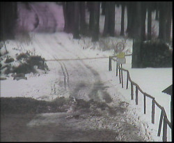 Nástup na běžecké tratě