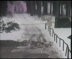 Nástup na běžecké tratě