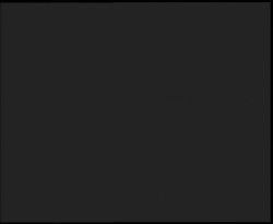 Nástup na běžecké tratě