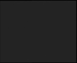 Nástup na běžecké tratě